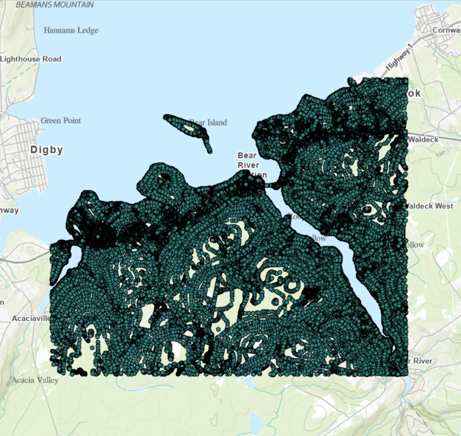 Points to Peaks: Crafting a Digital Elevation Model from CSV